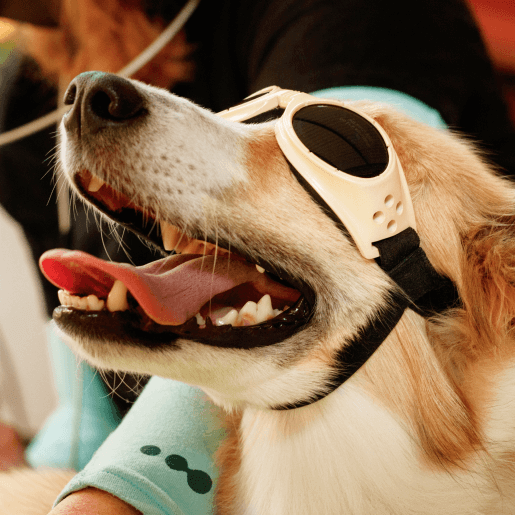 Laser Therapy